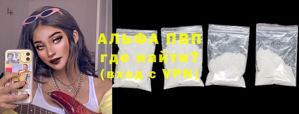 ПСИЛОЦИБИНОВЫЕ ГРИБЫ Горно-Алтайск